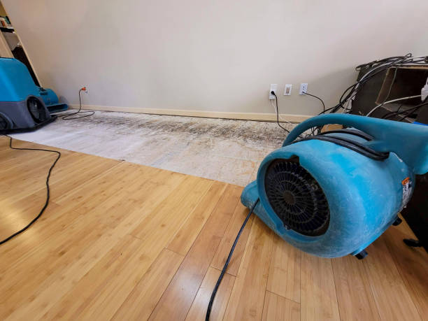 Professional Burst Pipe Water Damage technician working in Woodworth, ND